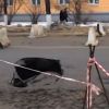В Ярославле на ул. Советской провалился асфальт (видео)